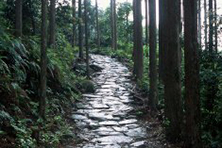 Kumano Kodo ‘Ancient Pilgrimage Trails of Kumano