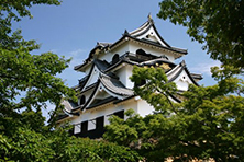 National Treasure Hikone Castle