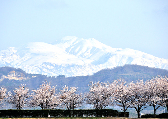 Landscape of the Mount Hakusan (spring)