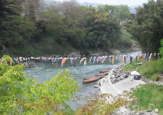Tenryu River with Koinobori (carp streamer)