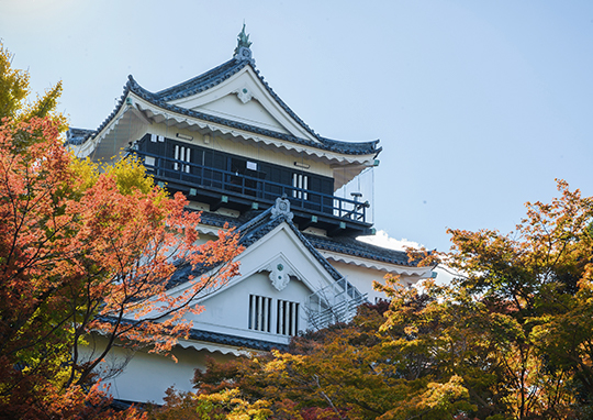 Okazaki Castle in Autumn