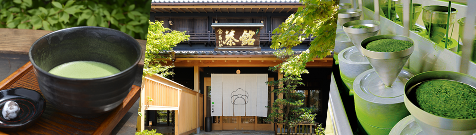Aiya Nishio Matcha Museum - Waku Waku