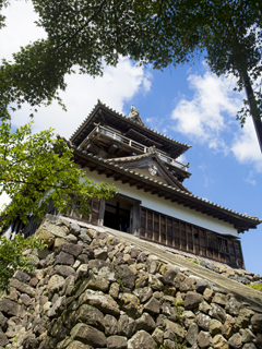 丸岡城 霞の城と謎 昇龍道 Samurai Story